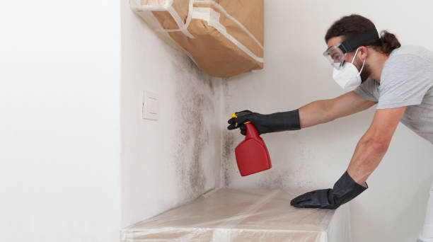 Professional Mold Inspection And Testing technician working in Lakeside, MI